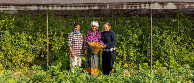 SASEC Countries Refine Framework for Food Systems Development